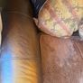 couch Image 7