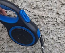 Extendable dog leash