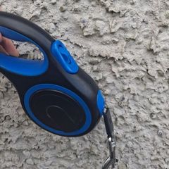 Extendable dog leash