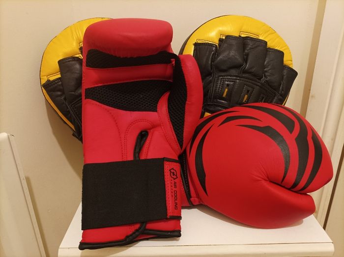 Boxing Gloves and Pads Set