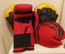 Boxing Gloves and Pads Set