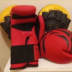 Boxing Gloves and Pads Set