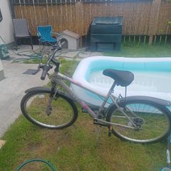 Ladies Bike