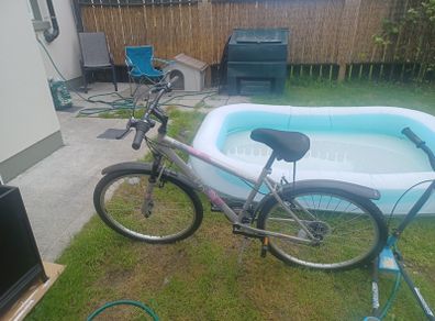 Ladies Bike