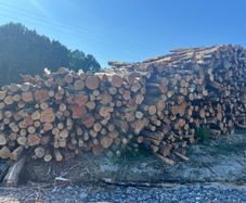 Alder ex forestry for sale