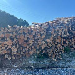 Alder ex forestry for sale