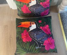 Toucan cushions ( pair)
