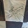 Dublin gaa flag autographed Image 5