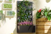 Outdoor Metal Planter, with Back Trellis - Black