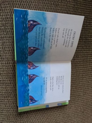 Treasury of Poetry & Rhymes