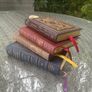 A Lifetime Library - 33 Books - Brenner, Heptinstall & 14 Gryphon Leather Classics of Medicine - One Collection Image 6