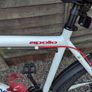Adult/child bike for sale / perfect condition Image 2