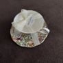 Grace's Teaware Cup & Saucer BNWT Image 5