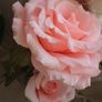 Handmade flowers Image 5