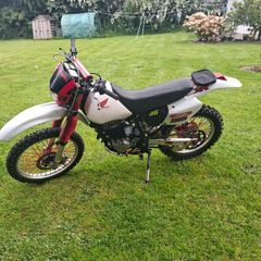 1999 honda xr250