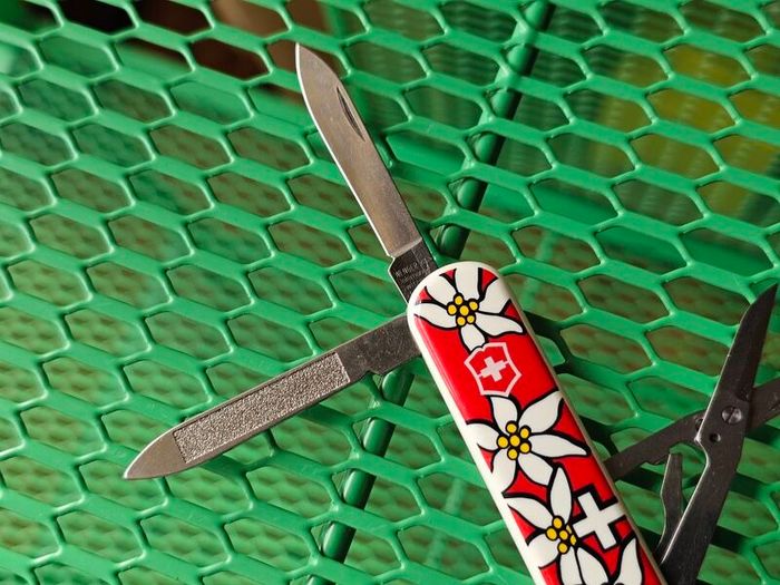 Vintage Wenger Esquire 65mm Swiss Army Knife Discontinued Collectable with Modern Delemont Victorinox Scales
