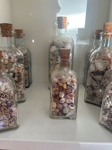 Sea shells in bottles