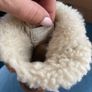 UGG boots Bailey bow infant size Uk5 Image 9