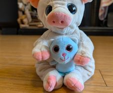 Pig soft toy.