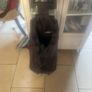 Bag for shopping Image 2