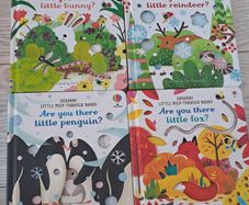 Usborne - Are you there...
