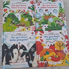 Usborne - Are you there...