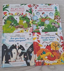 Usborne - Are you there...