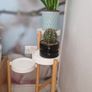 Few plant pots, in different varieties. Image 3