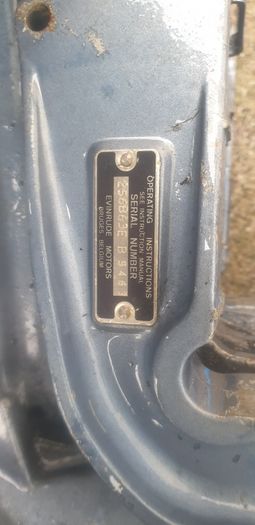 Evinrude 25hp(blue) and 35 HP 300 Euro each