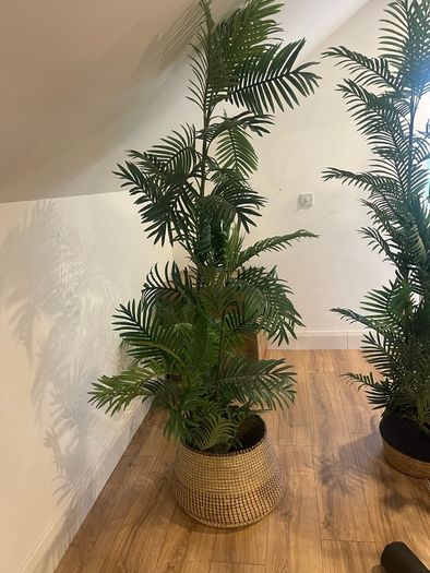 artificial  plants