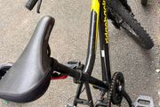 Boys bicycle ridgeback