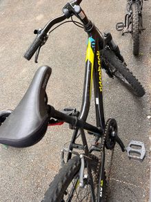 Boys bicycle ridgeback