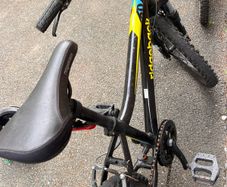 Boys bicycle ridgeback
