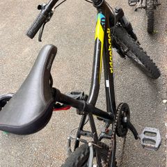 Boys bicycle ridgeback