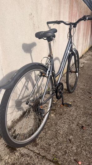 Ladies Bike