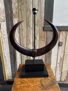 Resin  horn lamp