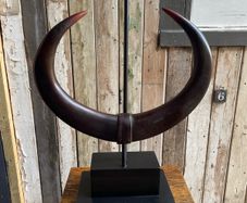 Resin  horn lamp