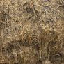 Pit silage Image 2