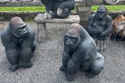 garden ornaments