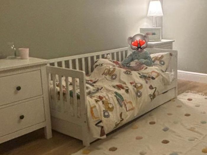 Toddler Bed