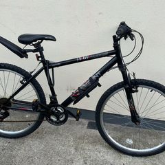 apollo mountain bike