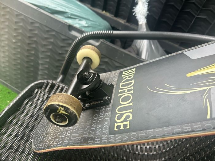 Tony Hawk Birdhouse