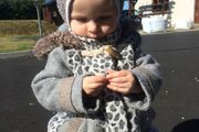 Next baby girl wool winter coat 2-3 leopard print free hats gloves