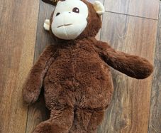 Teddy bear