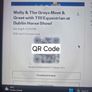 Molly & The Greys Meet &Greet Tickets Image 2