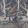 bicycle Image 2