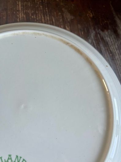 Vintage 1981 National Ploughing Association Golden Jubilee dinner plate