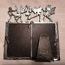 Rare Pewter Frame (Fairy/Pixie) Image 2