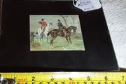 small horse picture