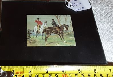 small horse picture